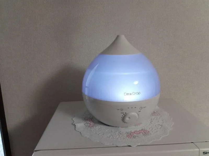 Fukuoka Koryou Guest House 1